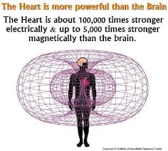 The heart is 5000 times stronger magnetically than the brain ...